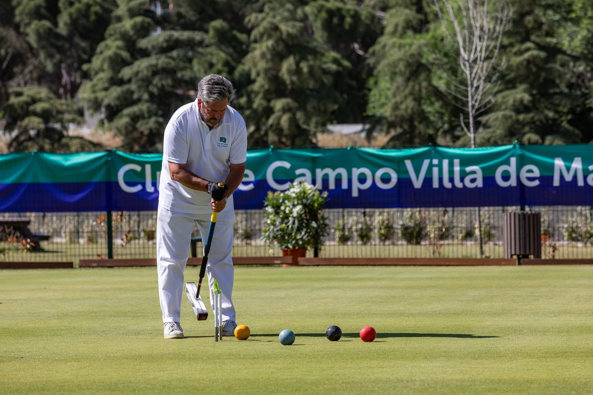 Croquet - Eventos