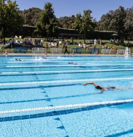 Nadadores compitiendo durante el 66º Campeonato Social de Natación CCVM. Foto: Miguel Ángel Ros CCVM