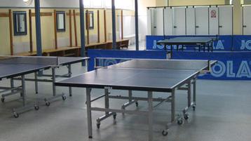 Tenis de mesa