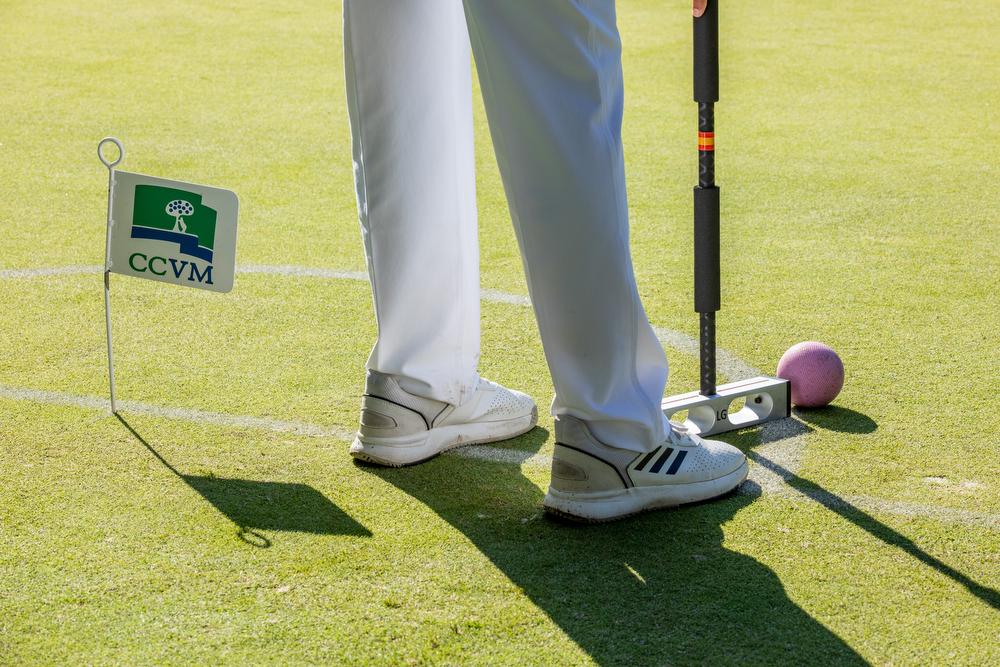 V Campeonato de Madrid de Croquet.