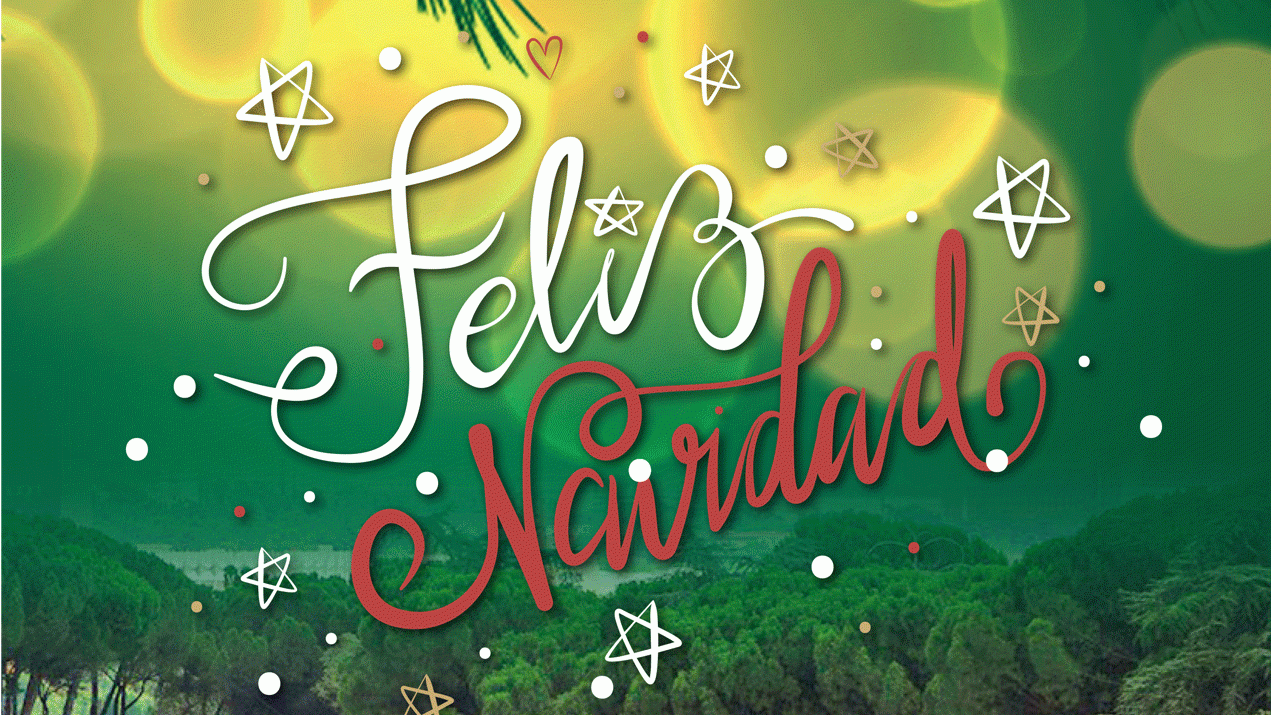 Felicitación Navidad