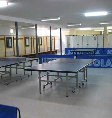 Tenis de mesa