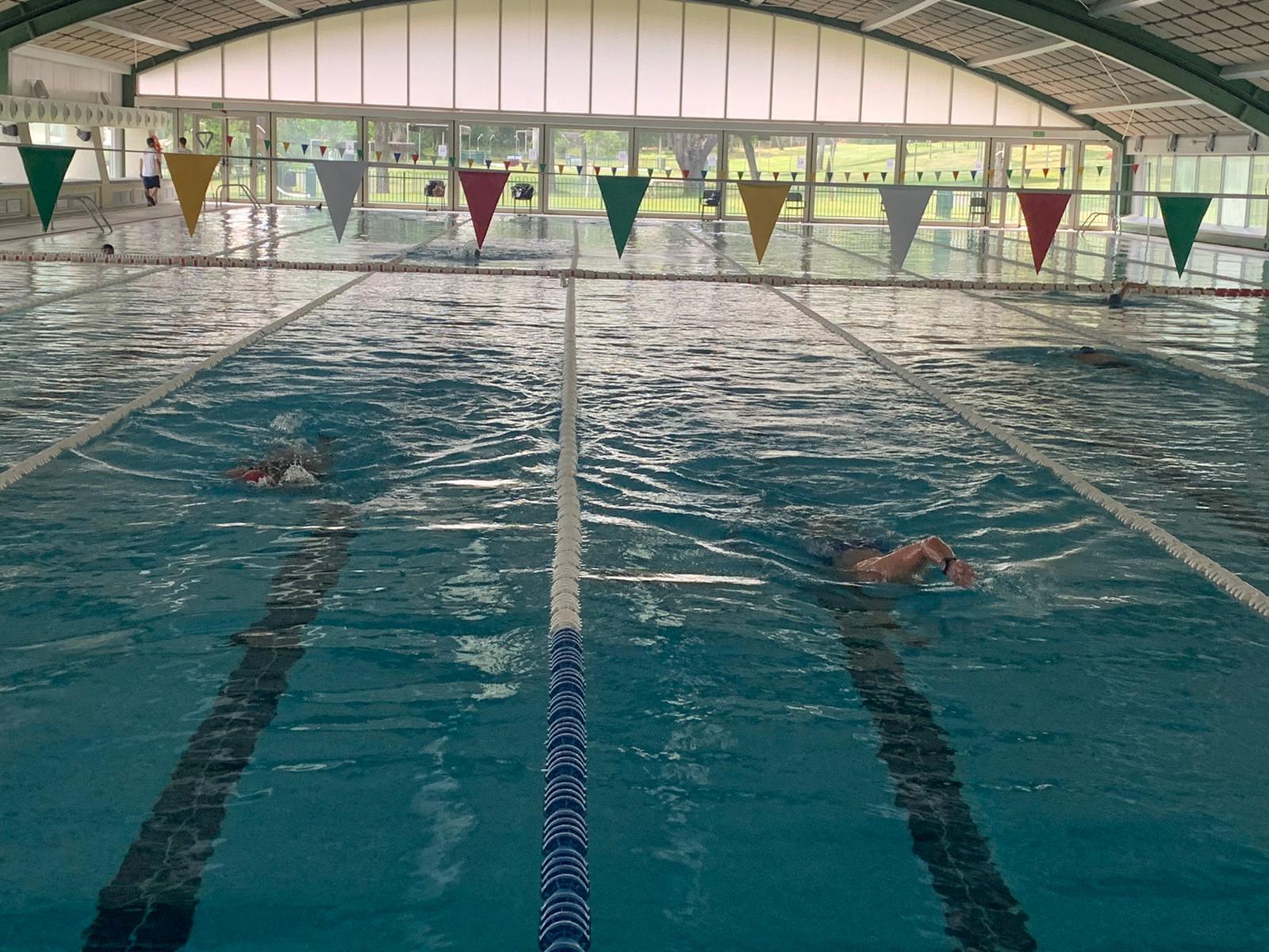 Nadadores en la piscina cubierta del Club.