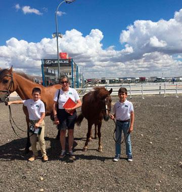 29ª edición del Campeonato de España con Ponis