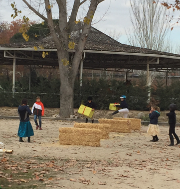 Concurso Social de Navidad de la Escuela de Equitación