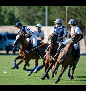 Abierto de Polo