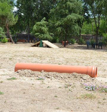 HABILITADA ZONA PARA PERROS