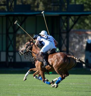 Abierto de Polo