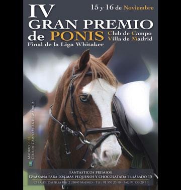 Gran Premio de Ponis