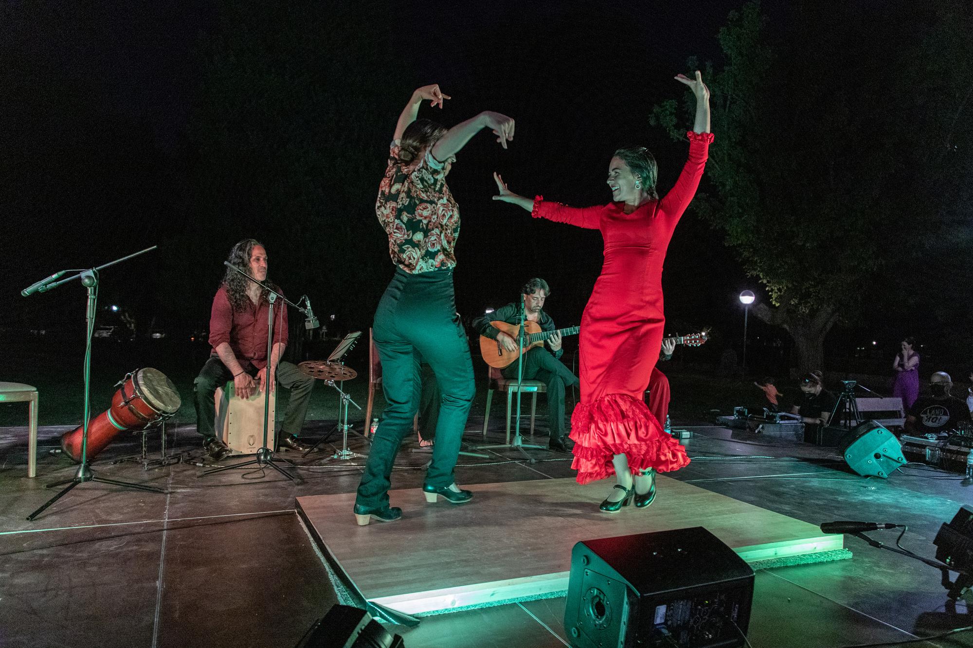 Flamenco de Etnia y Tradición. Foto: Miguel Ros / CCVM