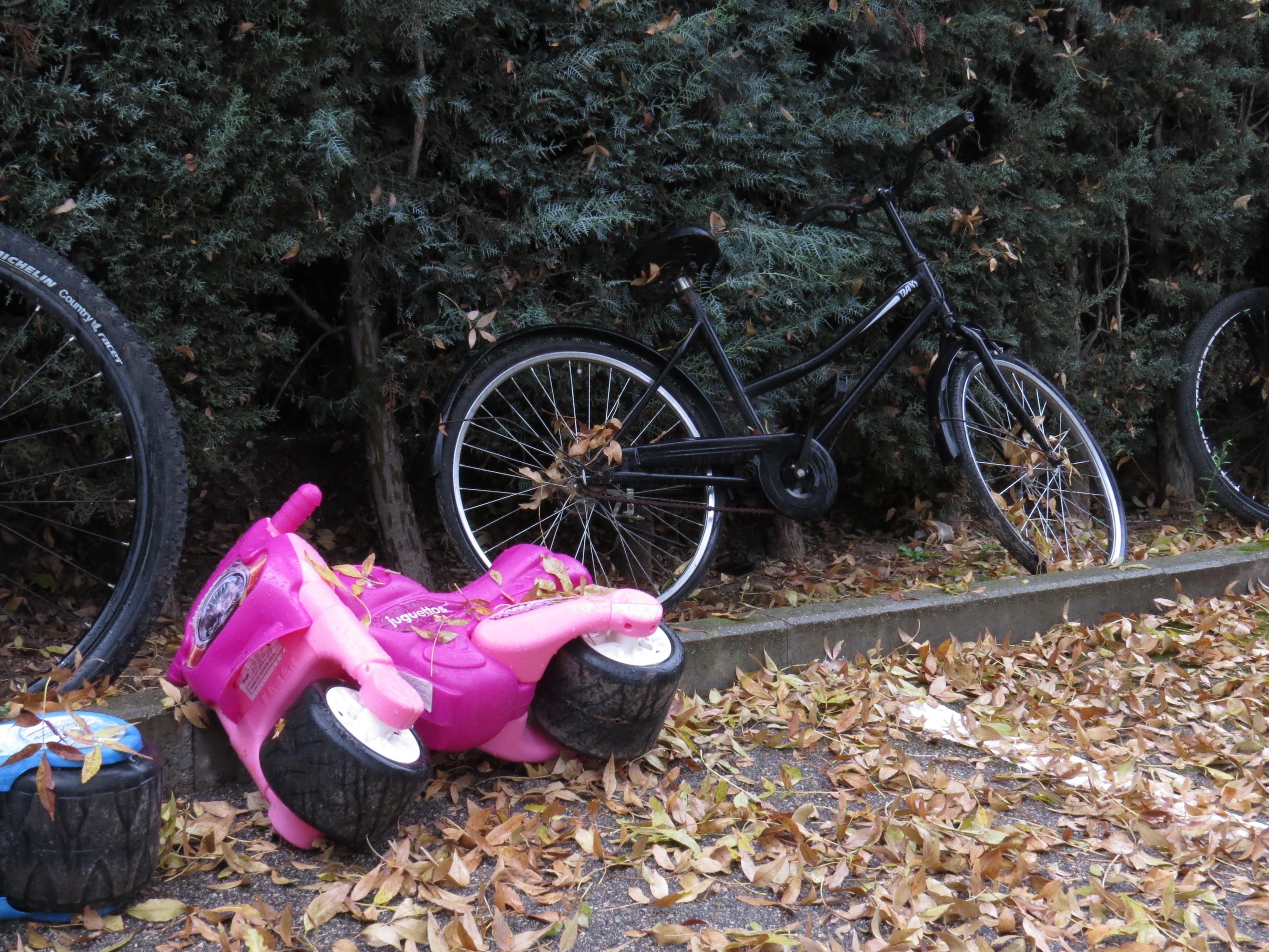 Bicicletas estacionadas en el Club.