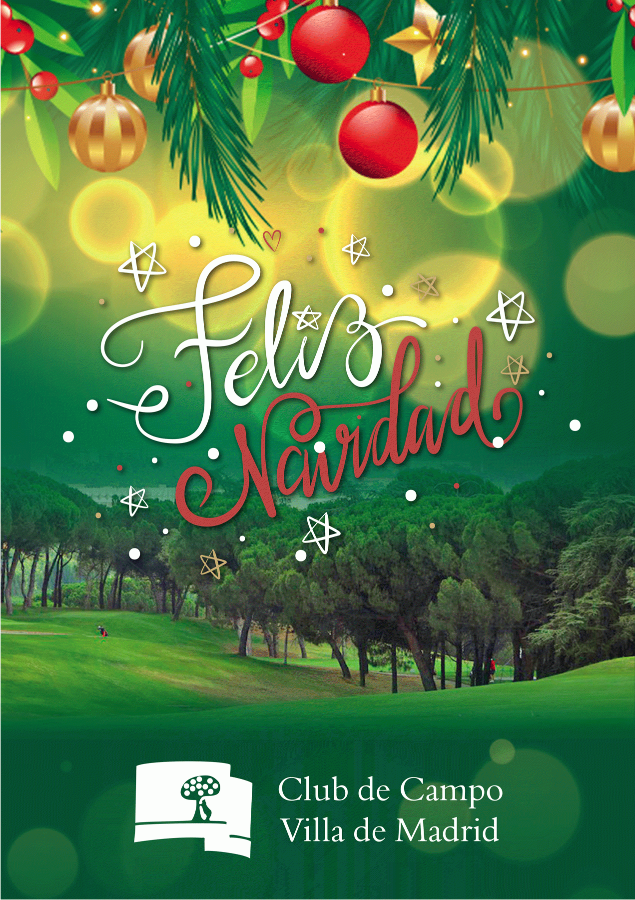 Felicitación Navidad