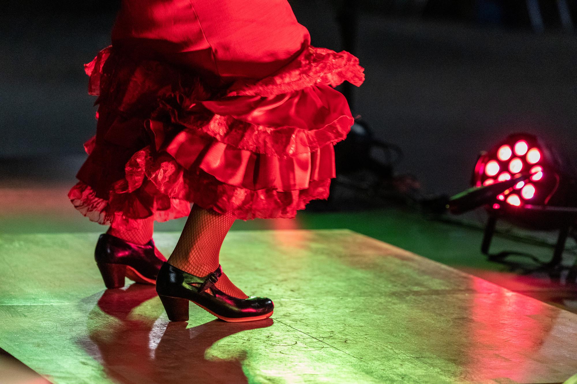 Flamenco de Etnia y Tradición, en imágenes