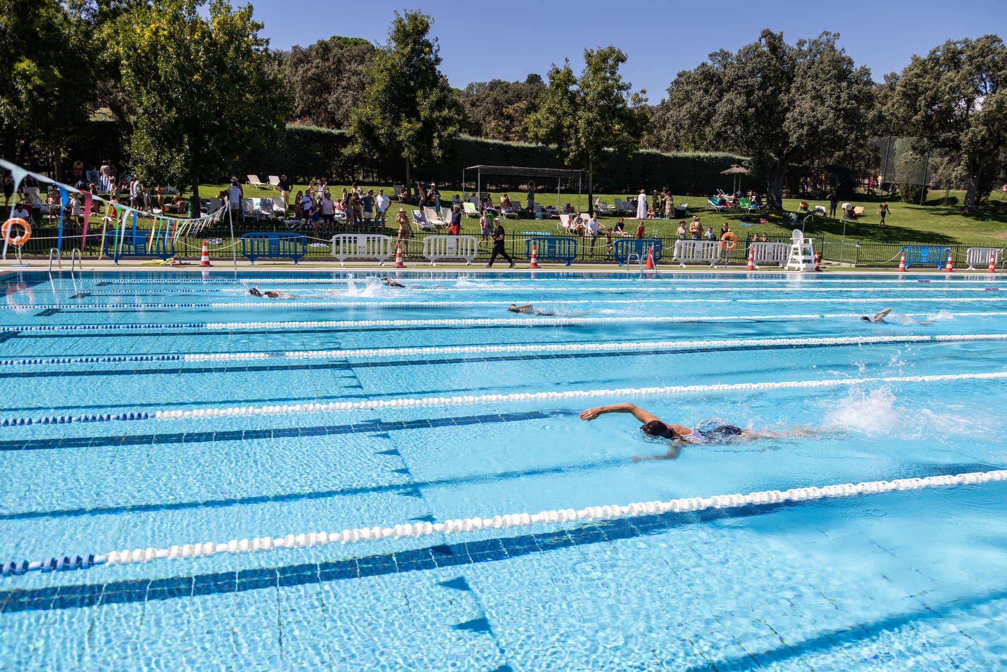 Las mejores imágenes del 66º Campeonato Social de Natación CCVM