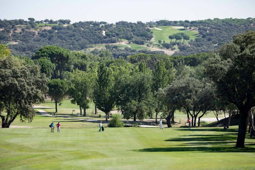 Circuito de Madrid de Profesionales 2017