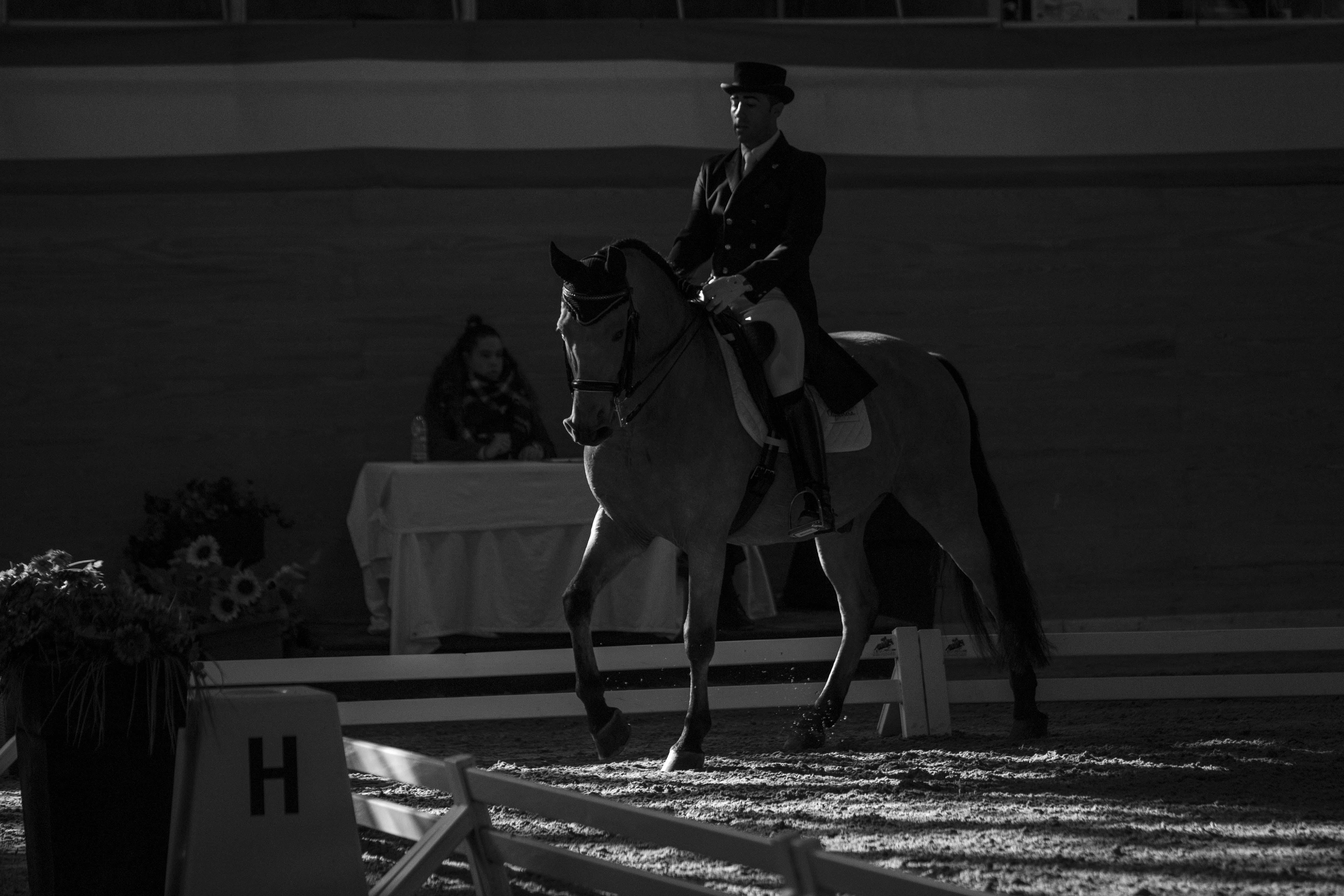 Copa de S.M. El Rey de Doma Clásica. Fotos: Miguel Ros y Ángel Yuste