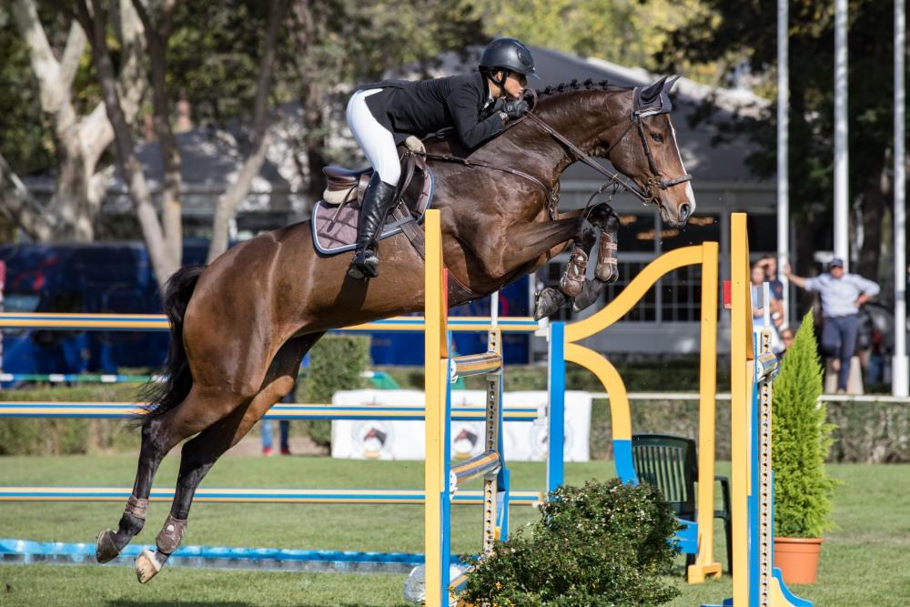 Campeonato de España Absoluto, Jóvenes Jinetes y Amateur