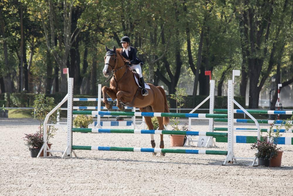 Campeonato de España Absoluto, Jóvenes Jinetes y Amateur