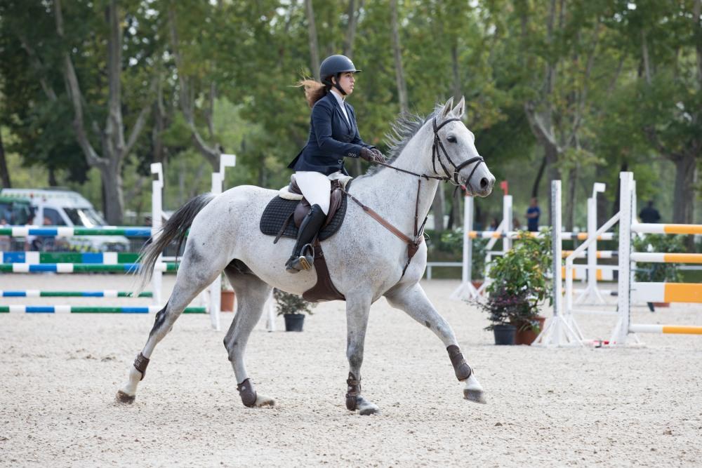 Campeonato de España Absoluto, Jóvenes Jinetes y Amateur