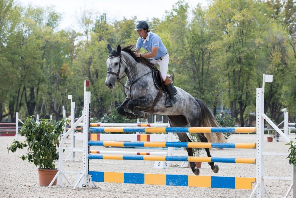 Campeonato de España Absoluto, Jóvenes Jinetes y Amateur