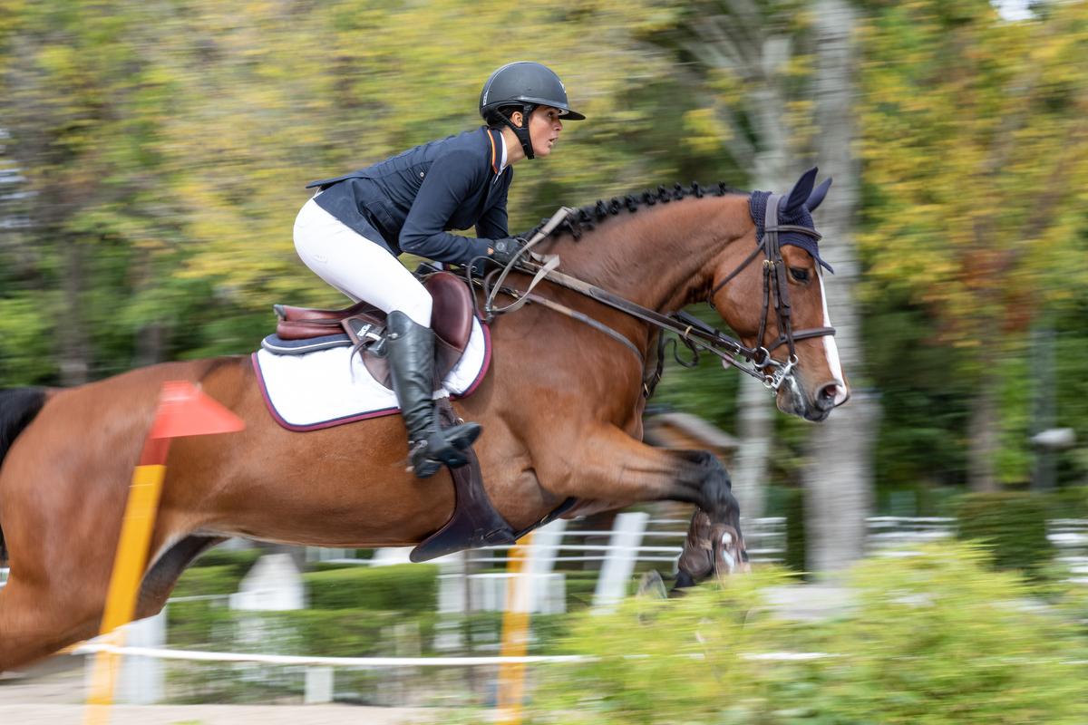 Campeonatos de España Absoluto, Jóvenes Jinetes y Clásico 2018