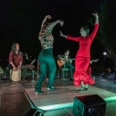 Flamenco de Etnia y Tradición. Foto: Miguel Ros / CCVM 