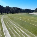 Labores de mantenimiento en el campo de golf del Club de Campo Villa de Madrid.